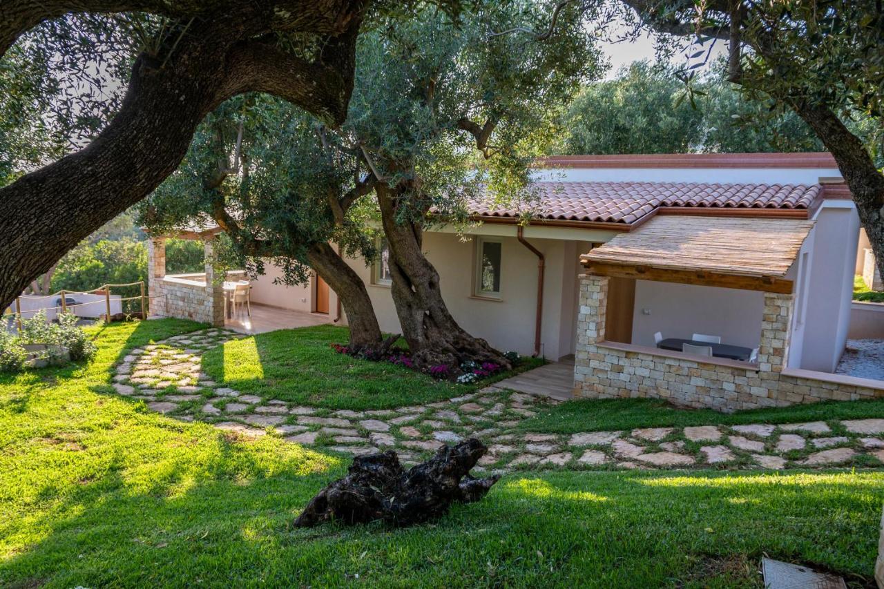 Il Mirto Residence Marina di Camerota Kültér fotó