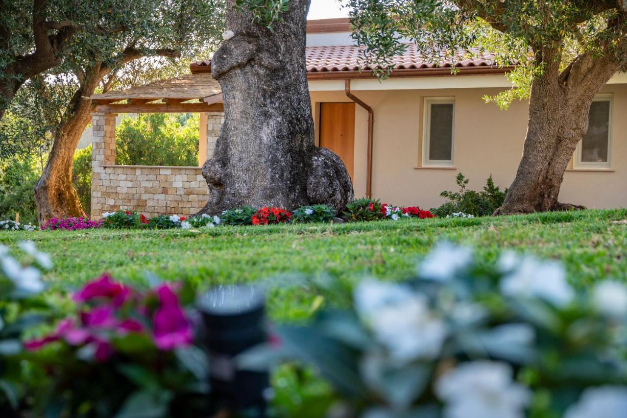 Il Mirto Residence Marina di Camerota Kültér fotó