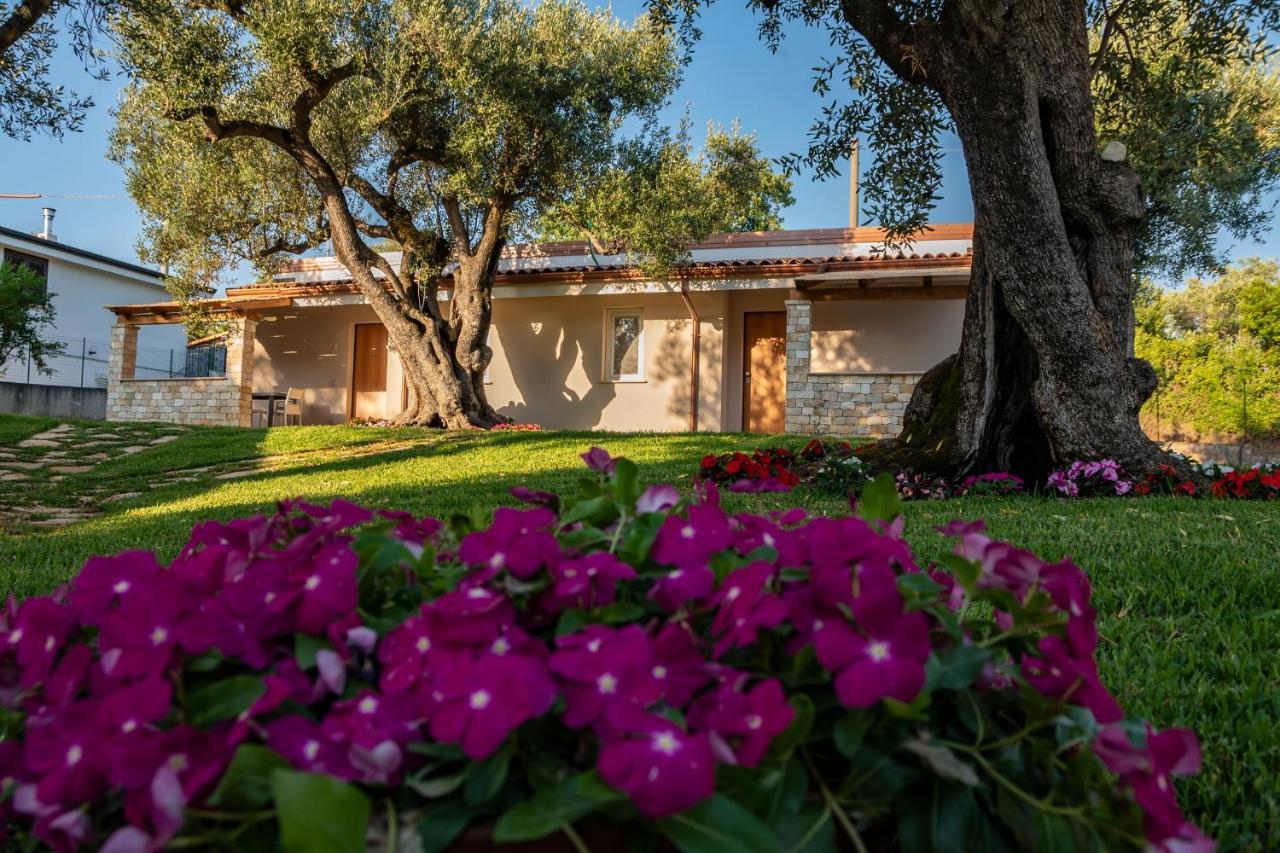 Il Mirto Residence Marina di Camerota Kültér fotó